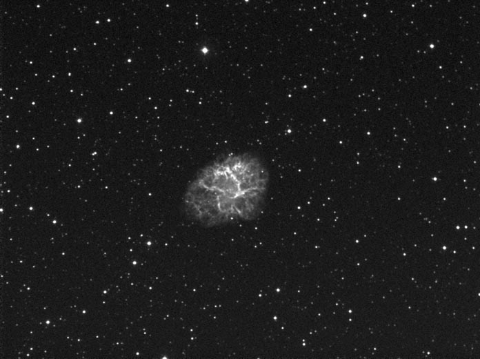 M1