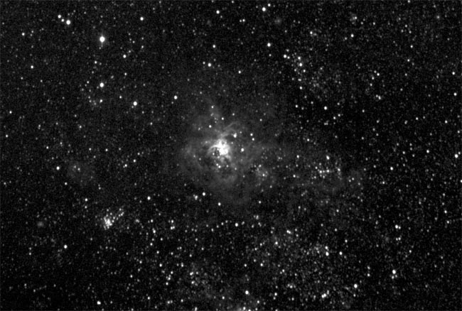 The Tarantula Nebula