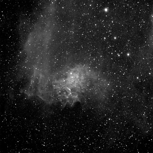 The Flaming Star Nebula