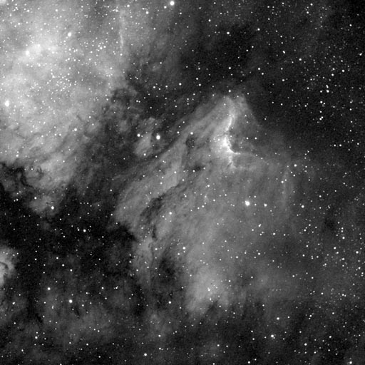 The Pelican Nebula