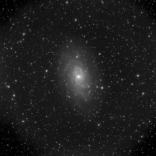 M33
