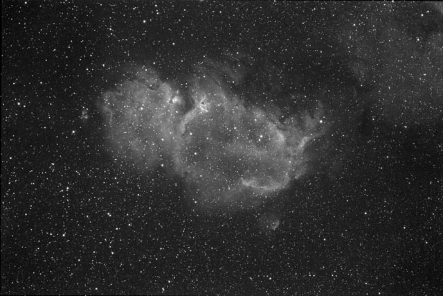 LBN667