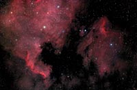 The North American and Pelican Nebulae