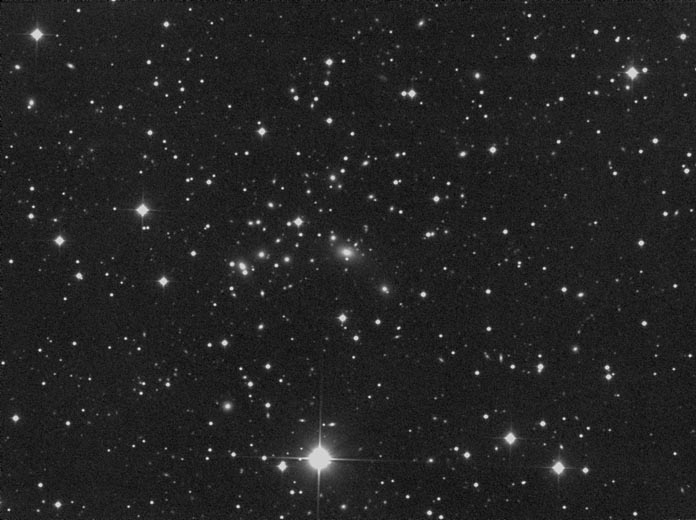 Galaxy Cluster in Pegasus