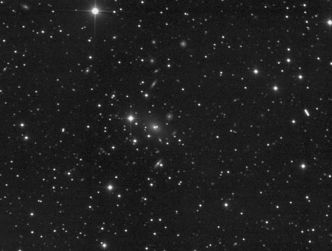 Galaxy Cluster in Pegasus