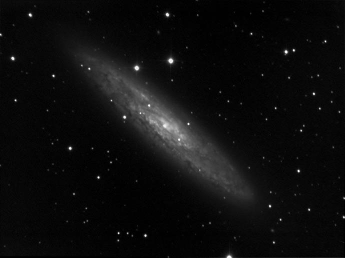 NGC253