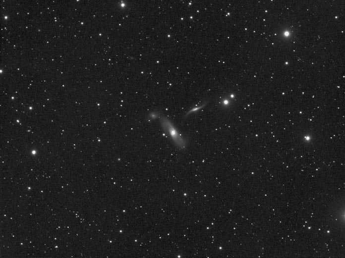 NGC5566