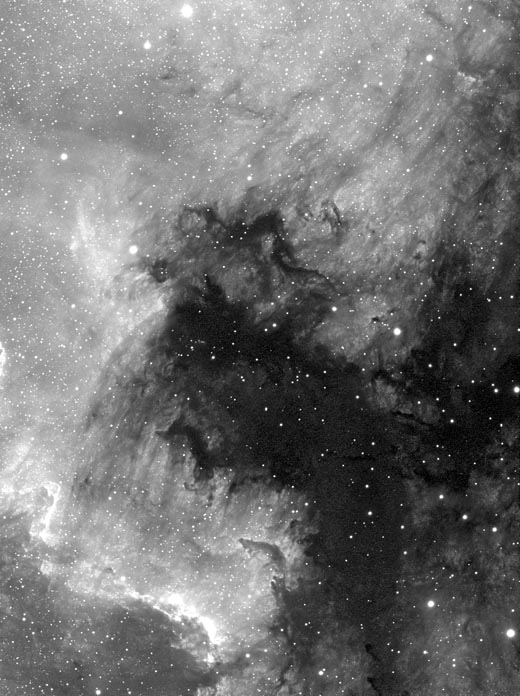 NGC7000 in Ha