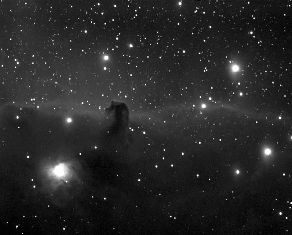 B33