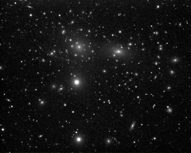 Galaxy Cluster in Coma Berenices