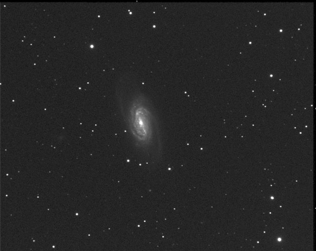 NGC2903, A Galaxy in Leo