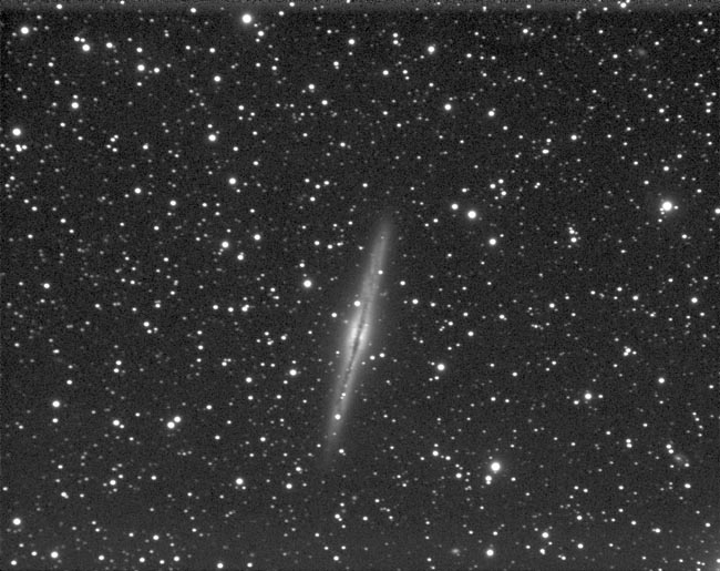 NGC891